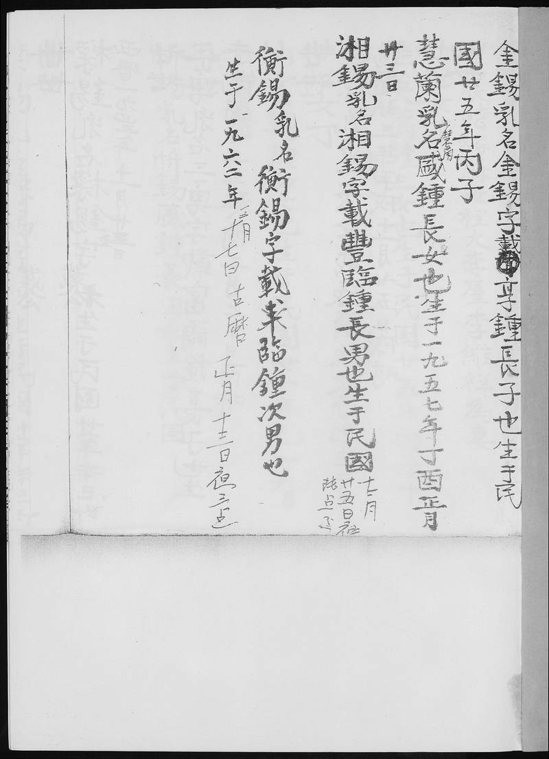族谱预览