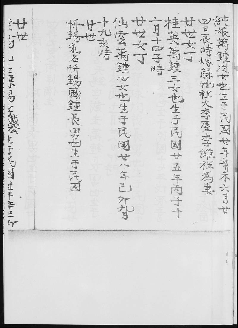 族谱预览