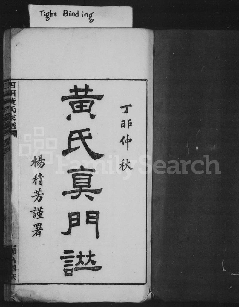 族谱预览