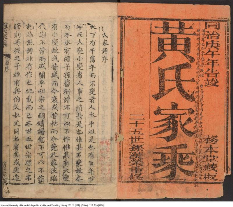 族谱预览