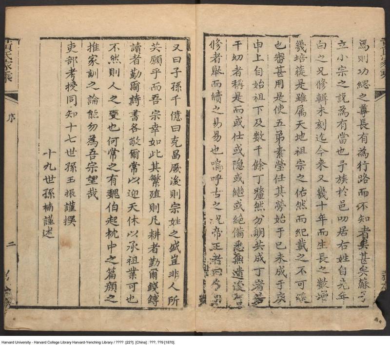 族谱预览