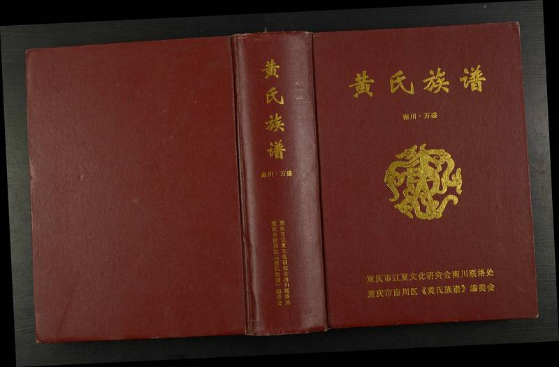 族谱预览