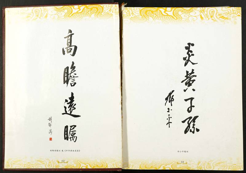 族谱预览