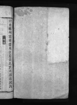 族谱预览