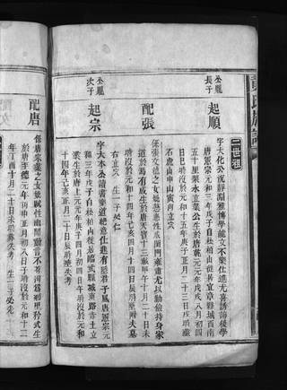 族谱预览