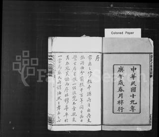 族谱预览