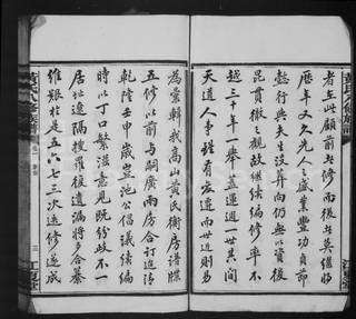 族谱预览