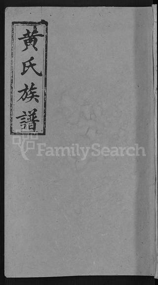 族谱预览