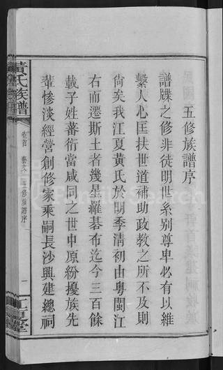 族谱预览