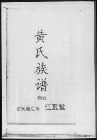族谱预览