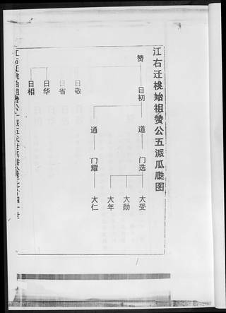 族谱预览