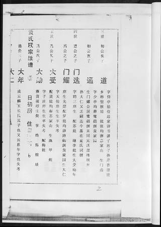族谱预览