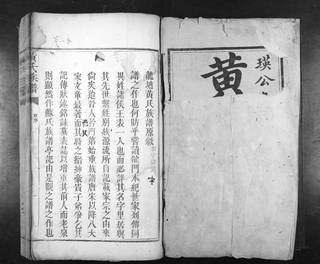 族谱预览