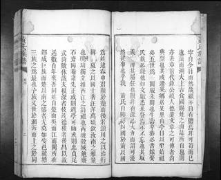 族谱预览