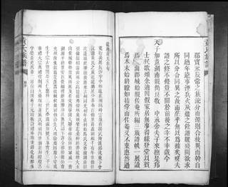 族谱预览