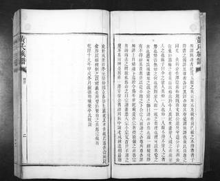族谱预览