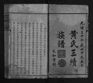 族谱预览