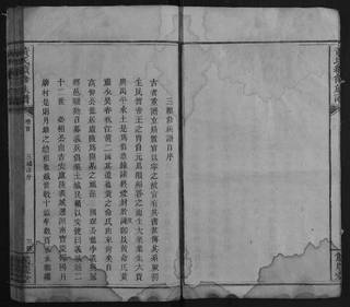 族谱预览