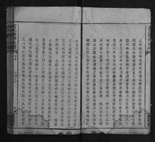 族谱预览