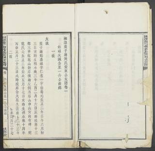 族谱预览