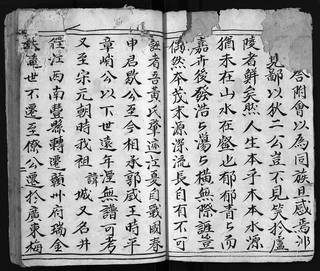 族谱预览