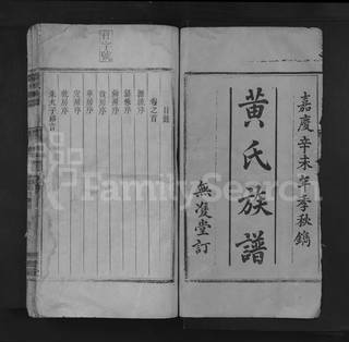 族谱预览