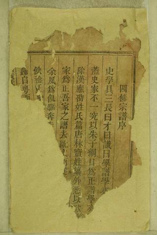 族谱预览