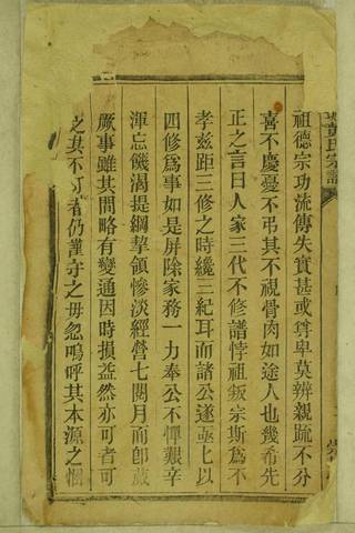 族谱预览