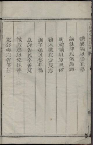 族谱预览