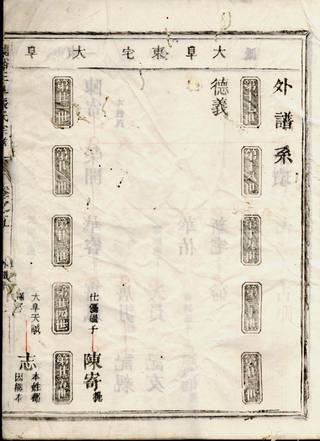 族谱预览