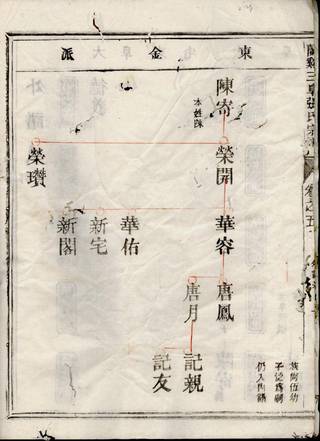 族谱预览