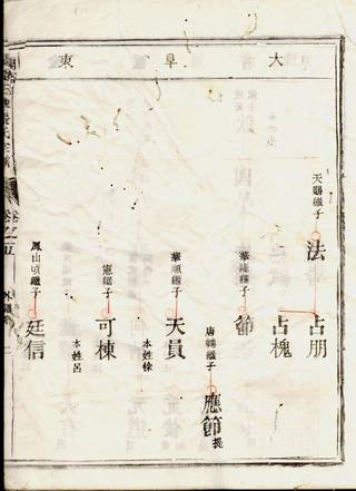族谱预览
