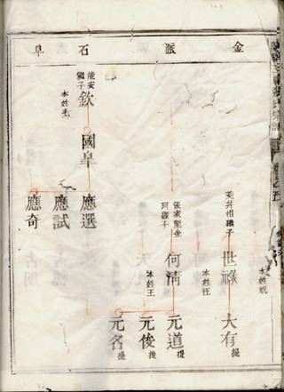 族谱预览