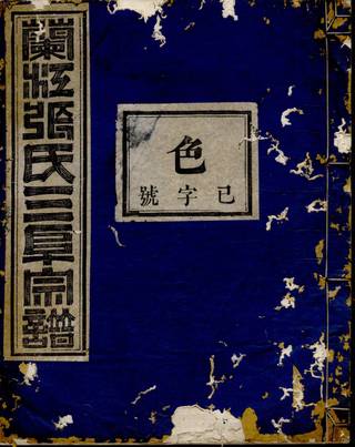 族谱预览