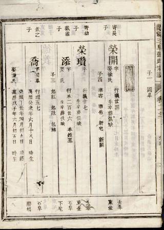 族谱预览
