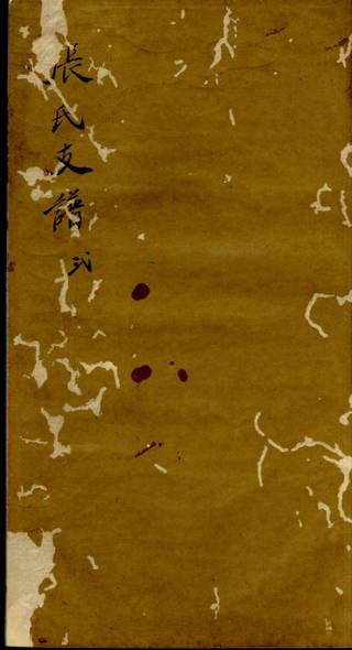 族谱预览