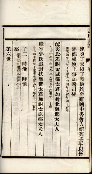 族谱预览