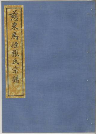 族谱预览