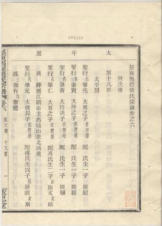 族谱预览