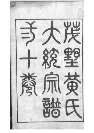 族谱预览