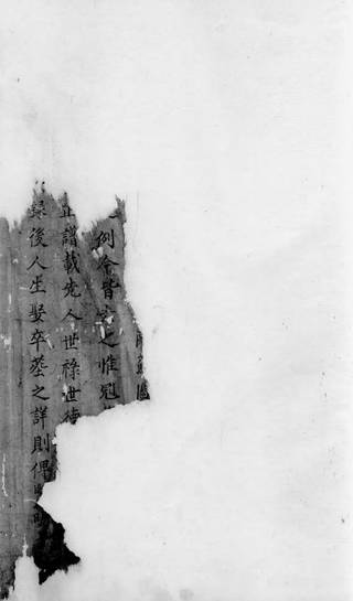 族谱预览