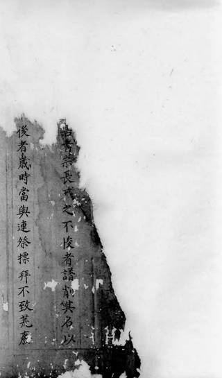 族谱预览