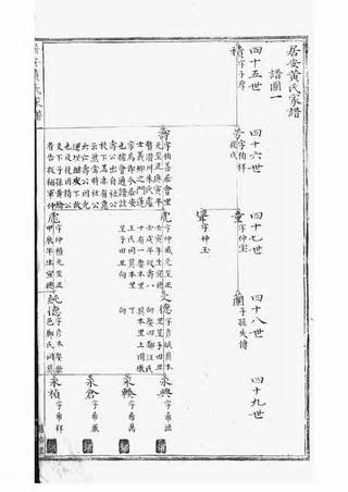 族谱预览