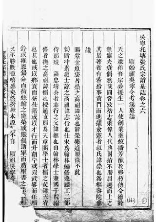 族谱预览