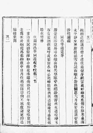 族谱预览