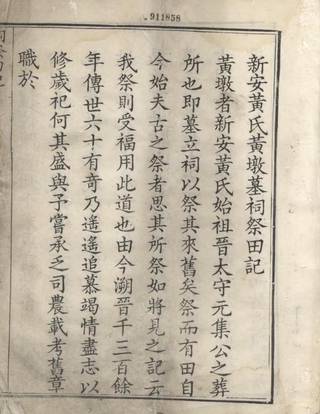 族谱预览