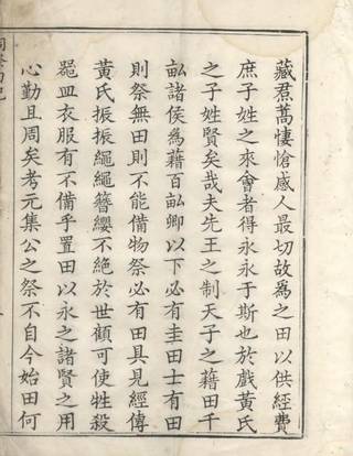 族谱预览