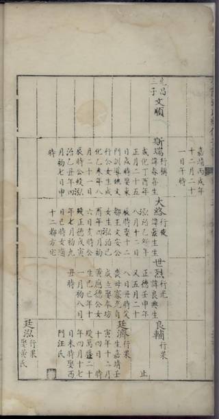 族谱预览