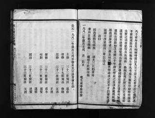 族谱预览