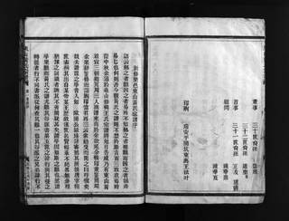 族谱预览